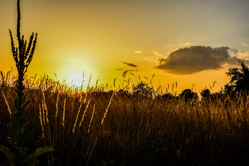 O p&ocirc;r do sol no interior rural