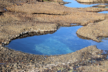 Rock Pool on Bongon Beach Australia