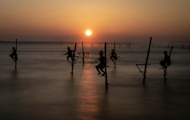 Fototapeta premium Stilt Fishermen in Sri Lanka Working For Dinner at Sunset