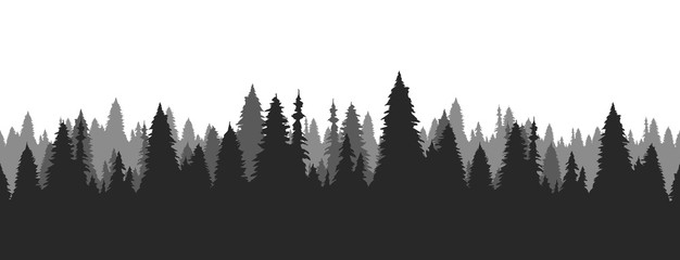Hand drawn pine forest. Christmas banner template. - obrazy, fototapety, plakaty
