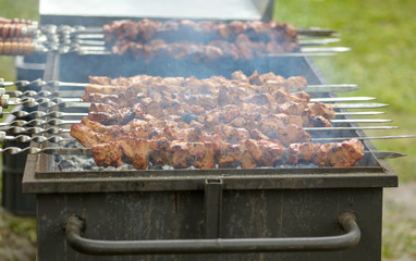 Meat on skewers fried on the grill