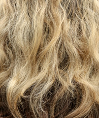 Naklejka premium Girl's hair as an abstract background