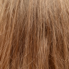 Girl's hair as an abstract background