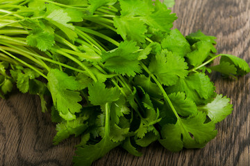 Coriander