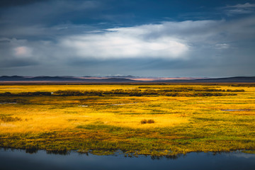 Fall Ergun wetlands in northern China, formerly known as root ri