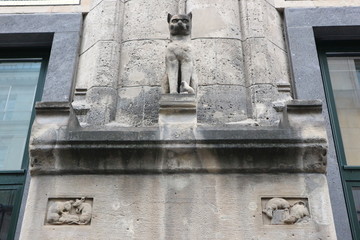 At one of Berlin's houses. The cat feels like a king of mice.