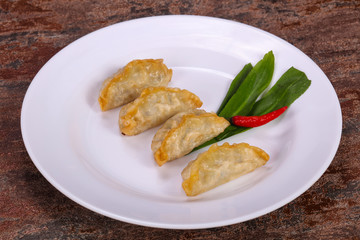Japanese traditional cuisine Gyoza dumplings