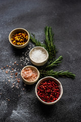 Spice cooking concept with sea salt