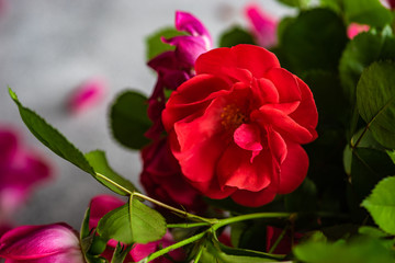 Floral frame concept