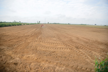 Rice cultivation in rice fields