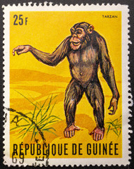 Postage Stamp. 1969. Republic of Guinea. Chimpanzee Tarzan