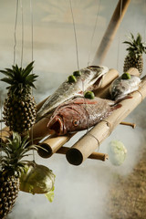 Mahi Mahi, red snapper and tuna fish on the barbecue. Healthy dinner preparation.