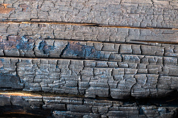 Black,charred wood surface.Natural background and texture of burnt coniferous tree
