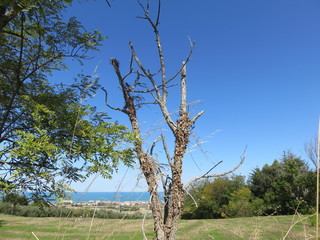 Paeaggio naturale