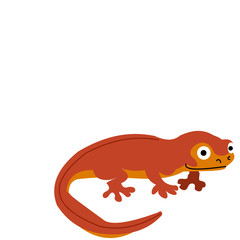Newt red lizard clipart