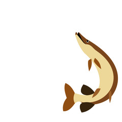 Pike fish clipart