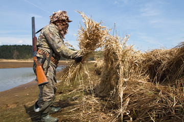 duck hunter prepare a hunting blind of reeds