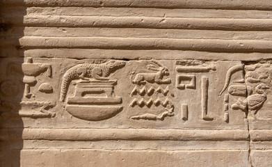 Stone Hieroglyphic Carvings at Kom Ombo Temple near Luxor
