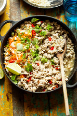 Chicken & pork larb with carrot, scallions and coriander 