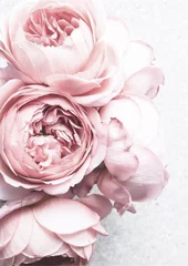 Foto op Aluminium roze witte pioen bloemen © Obsessively