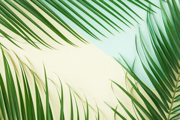 Summer tropical background. Flat lay of palm leaves with space for a text, arranged in a border - obrazy, fototapety, plakaty