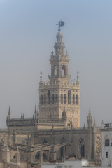 Fototapeta na wymiar Foggy morning in Seville. Andalusia. Spain