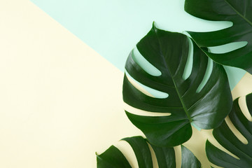 Fototapeta na wymiar Top view of green tropical leaves on yellow and green background. Flat lay. Summer concept with palm tree leaf, copyspace