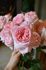 anemone, roses,Ranunculus,mattiola, Tulip,evkalipt,Narcissus, bouquet, wedding, flowers, rose, flower, roses, pink, white, love, bride, floral, bridal, marriage, bunch, celebration, beautiful, romance