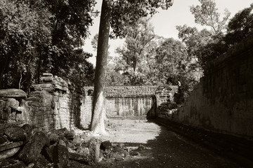The courtyard of the dilapidated temple complex in Indochina. Ancient ruins in the forest.