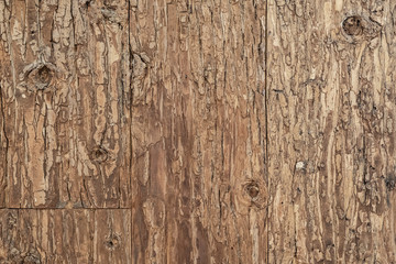 Old wood tree bark texture background