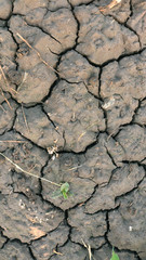cracked ground dry soil texture