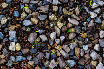 The stone and leaves on the ground