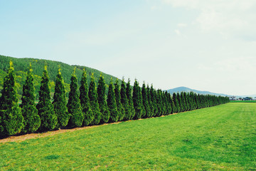 北海道の田舎の景色