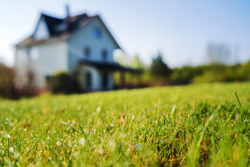 cottage house and young lawn - obrazy, fototapety, plakaty