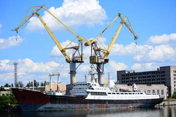 cranes in the port