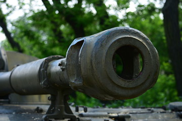 cannon