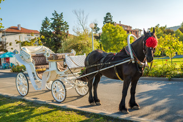 Obraz na płótnie Canvas Touristic horse wagon and green park in a touristic village.