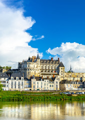 Fototapeta na wymiar Beautiful view on the skyline of the historic city of Amboise with renaissance chateau across the river Loire. Loire valley, France