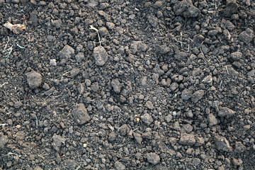 soil texture close up