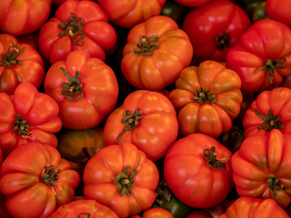 Close up view on fresh meat tomatoes at a market