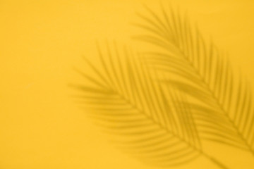 Tropical palm tree leaf shadow on a yellow background. Summertime layout