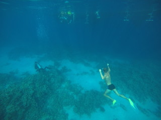 Fototapeta na wymiar red sea diving 
