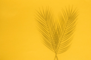 Tropical palm tree leaf shadow on a yellow background. Summertime layout