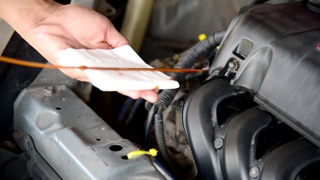check level oil machine of the car 