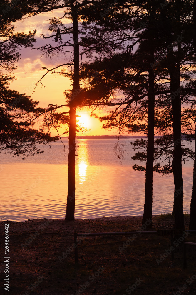 Wall mural sunset on the lake