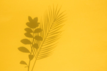 Tropical palm tree leaf shadow on a yellow background. Summertime layout