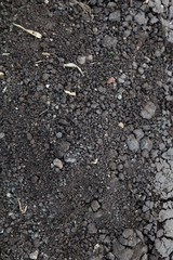 soil texture close up