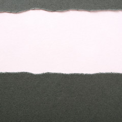 Fototapeta na wymiar Gray paper torn ripped strip white background