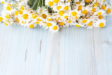 Bouquet of freshly picked camomile flowers on wooden background