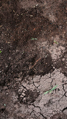 soil texture close up